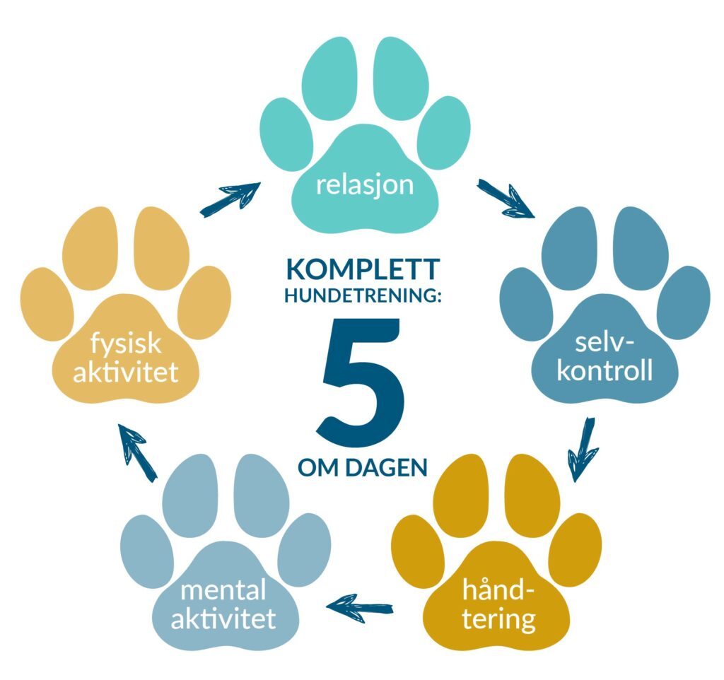 Konseptet består av fem fokusområder, med tilhørende under temaer som omhandler det aller meste innenfor hundehold. 